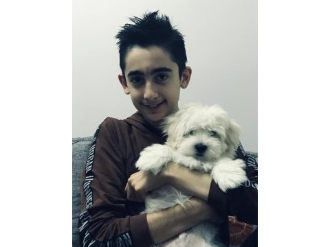Maltese köpüş