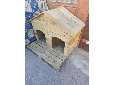 Dişili erkekli kulübesiyle birlikte köpekler