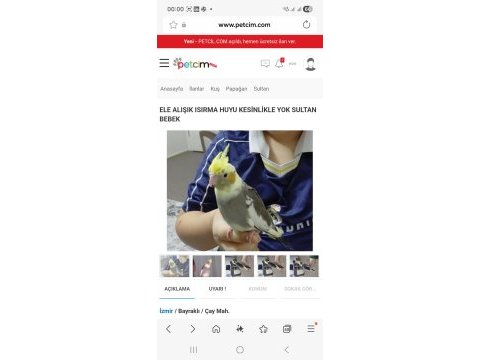 Ele alışık ısırma huyu kesinlikle yok sultan bebek
