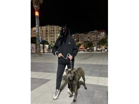 9 aylık cane corso