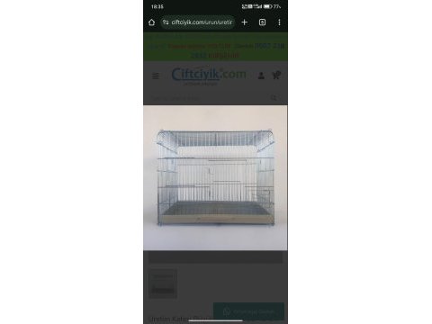 Jumbo kırıkları hazır çift kuşlar 1 yaşındalar