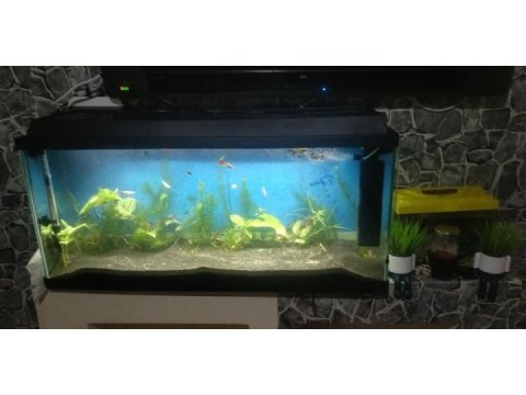Uzunluk 1 mt yükseklik 44 cm genişlik 29 cm akvaryum