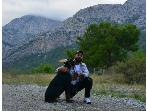 A class fcı kıf şecereli doberman son yavru
