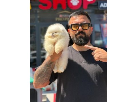 Çağrı çemçem in sizin için seçtiği özel yavrular 