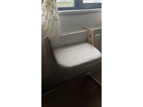 Kısır british longhair yeni yuvasını arıyor