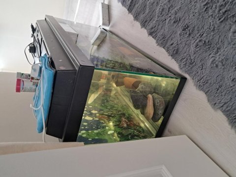 90 litre akvaryum