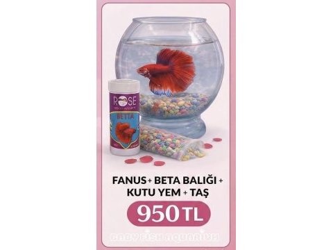 Betta toptan yeri adrese teslim olur