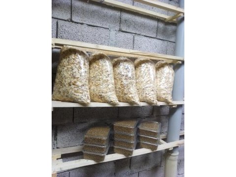 Bayrama özel hamster kampanya