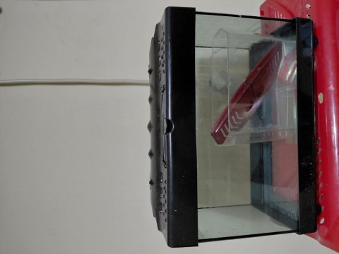 Akvaryum fanus betalık motor