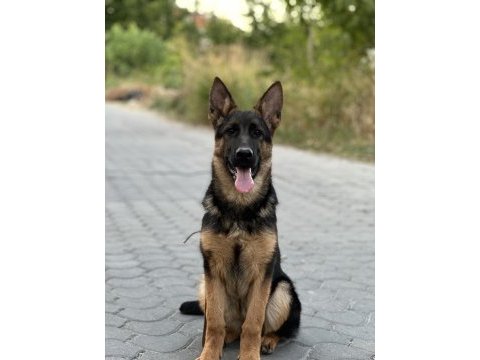 Fotoğraflar %100 bize aittir