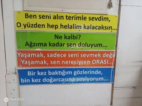 Hobi üretimden sevda papağanı