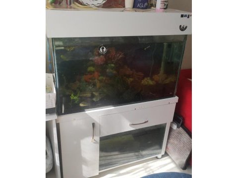 Acil satılık akvaryum 100 cm iki katlı mobilyalı