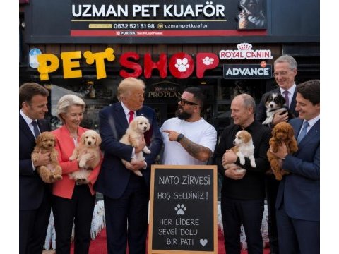 Her cins her ırk yavrumuz mevcuttur 