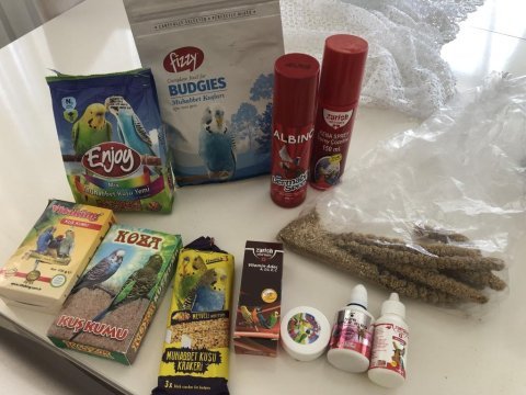 Eşyalarıyla erkek muhabbet kuşu