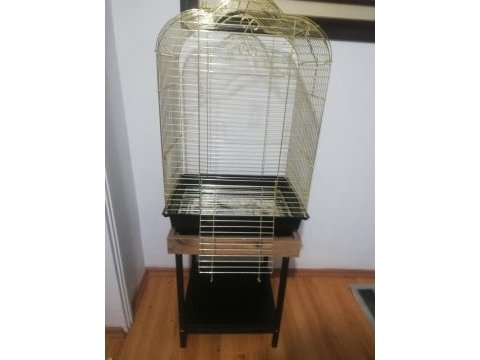 Full evcil yaşını doldurmamış alexander