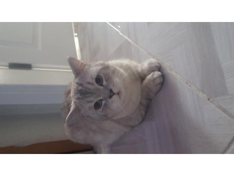 Çok tatlı bir o kadarda akıllı