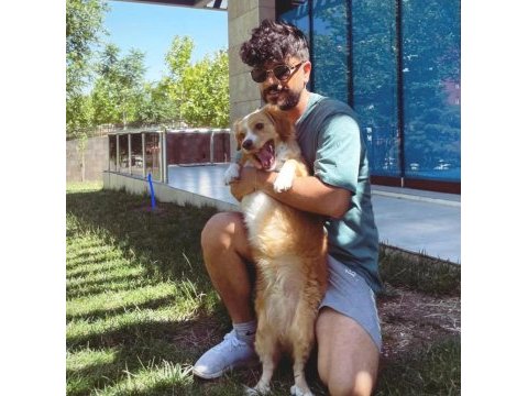 Ücretsiz sahiplendiriyorum köpeğimi