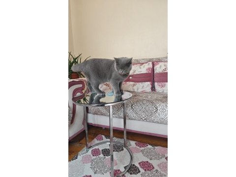 Yuva arıyoruz