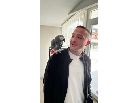 3 yasında üst düzey konusma yetenegı olan jako evlat