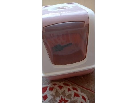 4 aylık blue point dişi eşyaları ile birlikte verilecek