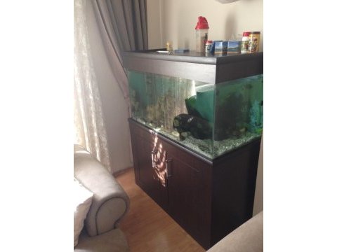 Özel yapım 350 litre dolaplı akvaryum 110x50x60