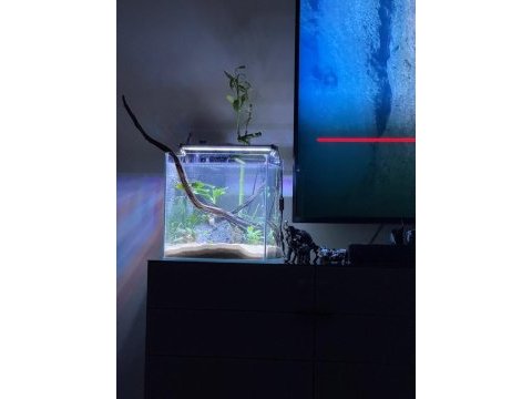35*35*35 nano akvaryum ultra clear cam özel