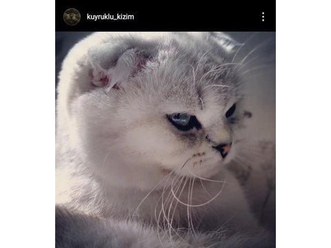 Çok sakin ve seveceb 1 kez doğum yaptı