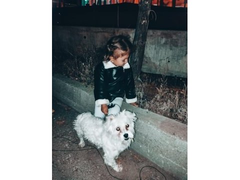 7 aylık çipi var gayet sağlıklı köpeğimiz