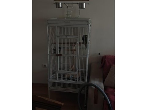 Kafes ile beraber satılık eğitimli monk papağanı