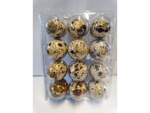 Bıldırcın ve döllü yumurta