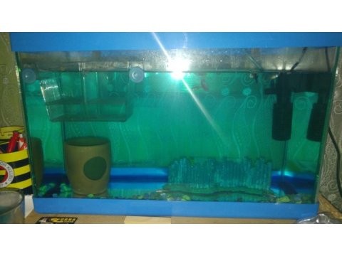 Akvaryum motor