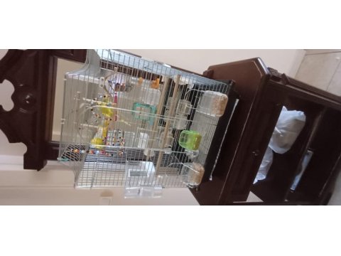 Büyük boy papağan kafesi tam ve eksiksiz olarak