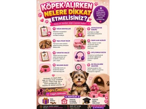 Çağrı çemçem in sizin için seçtiği yavrular 