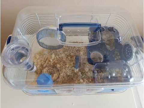 Gonzales hamster ile birlikte verilecek