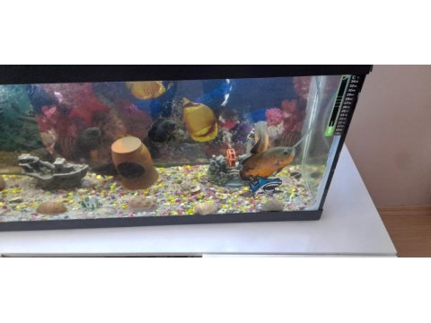 2 adet eş 20 cn üstü 5 adet 13 cm astronot