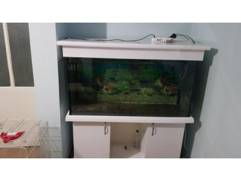 Mobilyalı akvaryum