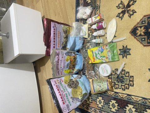 Komple muhabbet kuşu ve üretim seti