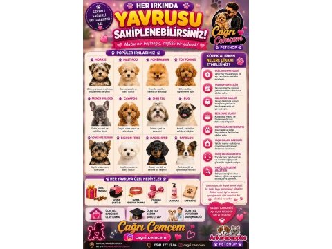 Çağrı çemçem in sizin için seçtiği özel yavrular 
