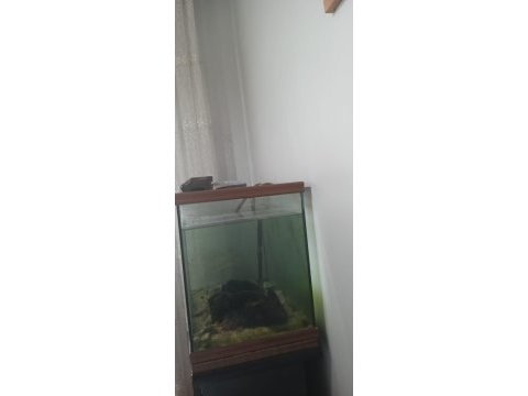 Profesyonel yapım akvaryum