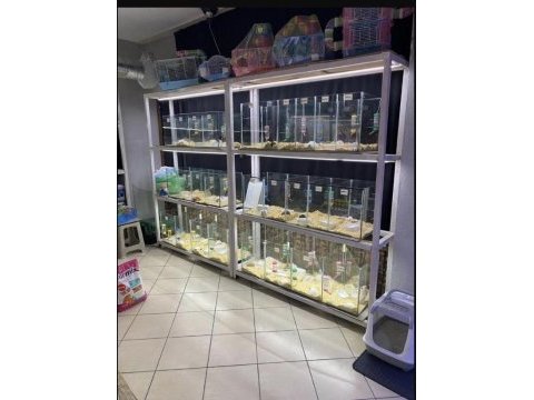 Türkiye ilk ve tek hamster çiftliği eve teslim