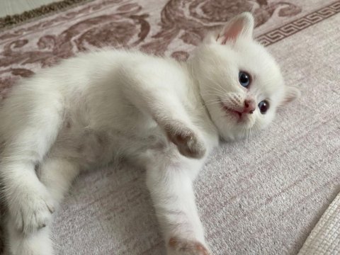 Minik bebeğimiz
