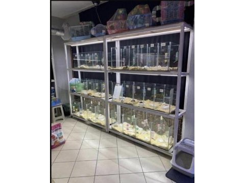 81 ile güvenli hamster gönderim sağlayan tek firma