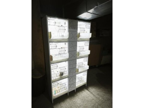 Pvc muhabbet kuşu üretim kafesi