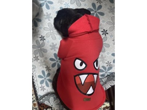 French bulldog kızımızı sahiplendirmek