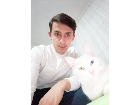 Van kedisi 2 aylık