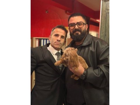 Teacup koyu renkli maltipo yavrularımız
