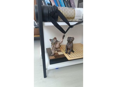 Uygun fiyata a kalite sfenks dişiler