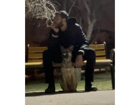 6 aylık belçika kurdu oğlum