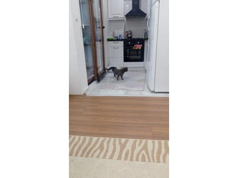 1 defa doğum yapmış 2 yaşında