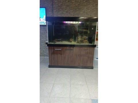 Mobilyalı akvaryum komple satılık piranalı